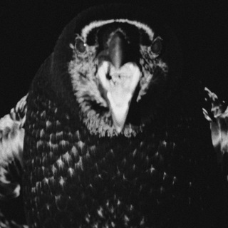 Telegram profile photo for масло черного тмина.