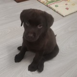Telegram profile photo for Про жизнь маленькой Милли