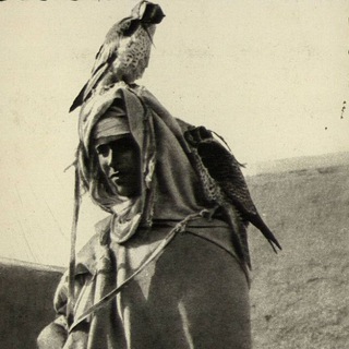 Telegram profile photo for الوباء المزيف واللقاح المخيف