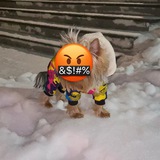 Telegram profile photo for ✨Фб от лавда🎄