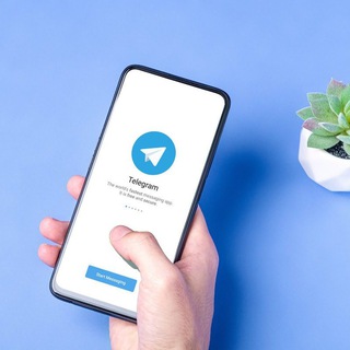Telegram group profile photo for Тг