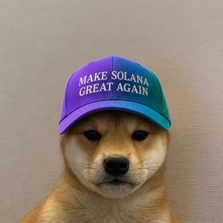 Telegram profile photo for dog wif cap