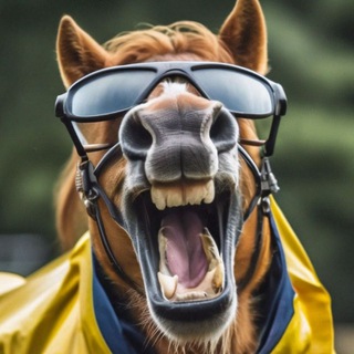 Telegram profile photo for 🐴 Конь валялся | Юмор | Смешные видеоролики | Приколы