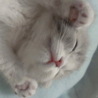 Telegram profile photo for пачка ксанекса (рест).