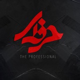 Telegram profile photo for سریال حرفه ای The Professional