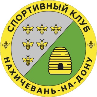 Telegram profile photo for НАХИЧЕВАНЬ | Спортивный клуб 🇦🇲