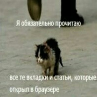 Telegram profile photo for Сегодня родился Бенедикт Киберксюш
