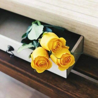 Telegram profile photo for قدسِــيّة حــروف♥