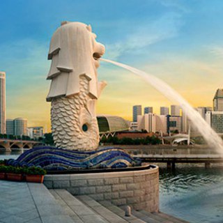 Telegram profile photo for Where To Eat In Singapore