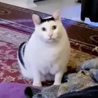 Telegram profile photo for ❤️ Взаимные подписки лайки