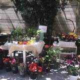 Telegram profile photo for هنرستان فضه (سلاماللهعلیها)