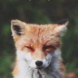 Telegram profile photo for Чих Пых
