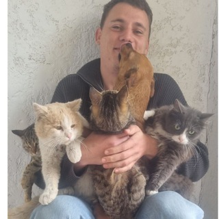 Telegram profile photo for 🐕Miditon о домашних и бездомных животных🐈
