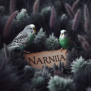 Telegram profile photo for Нарния • мы переехали • Батуми