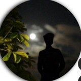 Telegram profile photo for FUNNY video