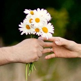 Telegram profile photo for برترین تکرار