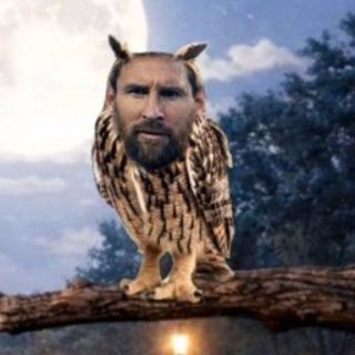 Telegram profile photo for per