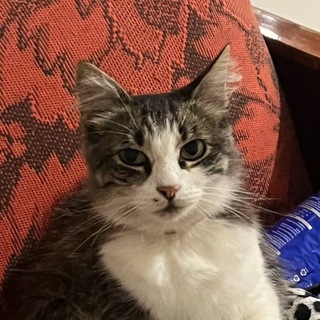 Telegram profile photo for маргарита не может снять джинсы