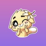Telegram profile photo for Daun Strategy Inc