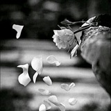 Telegram profile photo for أشعاار وكلِماات مبعثره