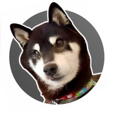 Telegram profile photo for ICHIGO CHAN - COCORO REAL NAME
