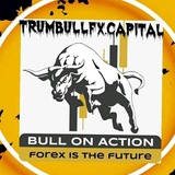 Telegram profile photo for ⚜️TRUMBULLFX ⚜️