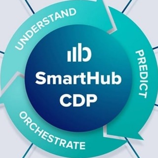 Telegram profile photo for SmartHub (CDP / Personalize)