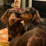 Telegram profile photo for Такса
