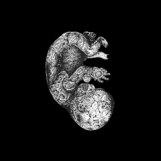 Telegram profile photo for когда репа? the limb (этот лимб)