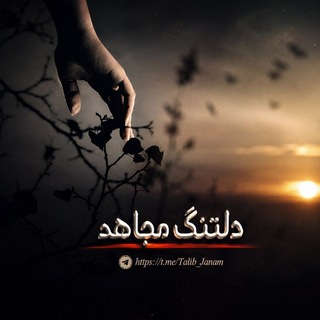 Telegram profile photo for دلتنگ مجاهد