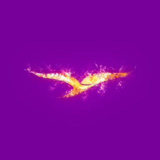Telegram profile photo for MovaTee News