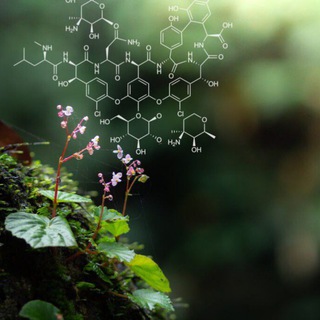 Telegram profile photo for Biologiya || Test kanali