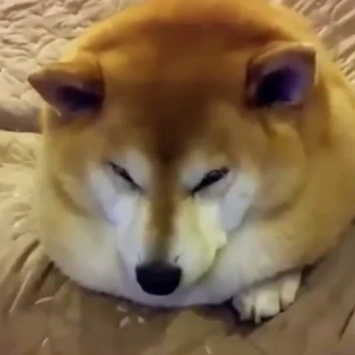 Telegram profile photo for Название съел Вениамин