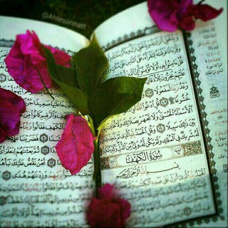 Telegram profile photo for حکمت های قرآن