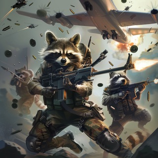 Telegram profile photo for Airdrop空投浣熊中英文社区🦝