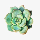 Telegram profile photo for Ничего Лишнего. Минимализм