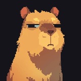 Telegram profile photo for CAPO