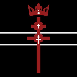 Telegram profile photo for Biełaruś Irredenta