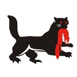 Telegram profile photo for Новости Иркутска