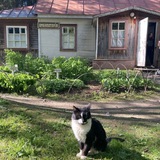 Telegram profile photo for Подмосквичка