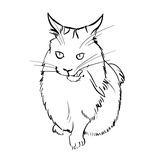 Telegram profile photo for Кошка
