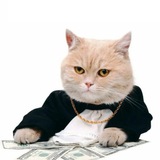 Telegram profile photo for Какой-то спец