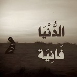 Telegram profile photo for أجر