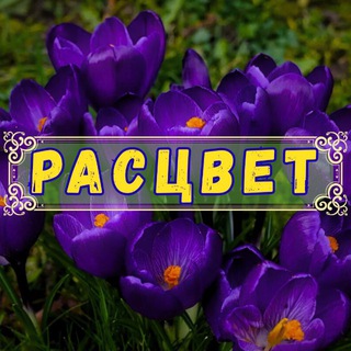 Telegram group profile photo for п. Расцвет