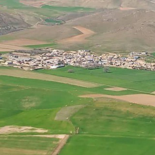 Telegram profile photo for پیروەلی باغ ڕووداو