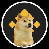Telegram profile photo for Kabosu Inu | BSC