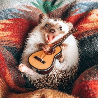 Telegram profile photo for Интересные животные 🐼