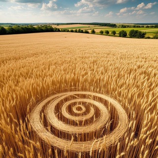 Telegram profile photo for В поле допуска