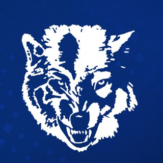 Telegram profile photo for ФК «Ислочь» 🐺