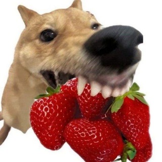 Telegram profile photo for egetegeb